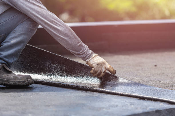 Professional Interior Drainage System technician working in Alto, MI